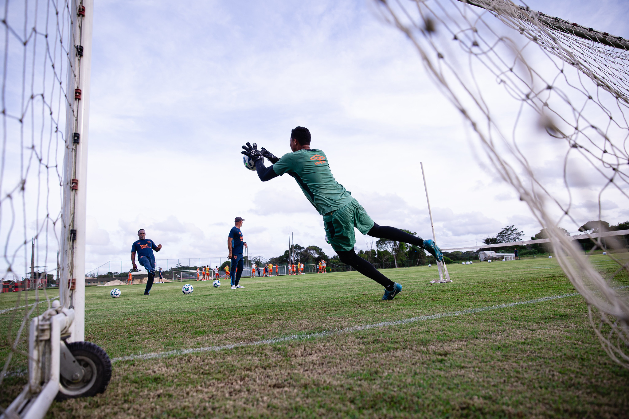 image para ilustrar o artigo