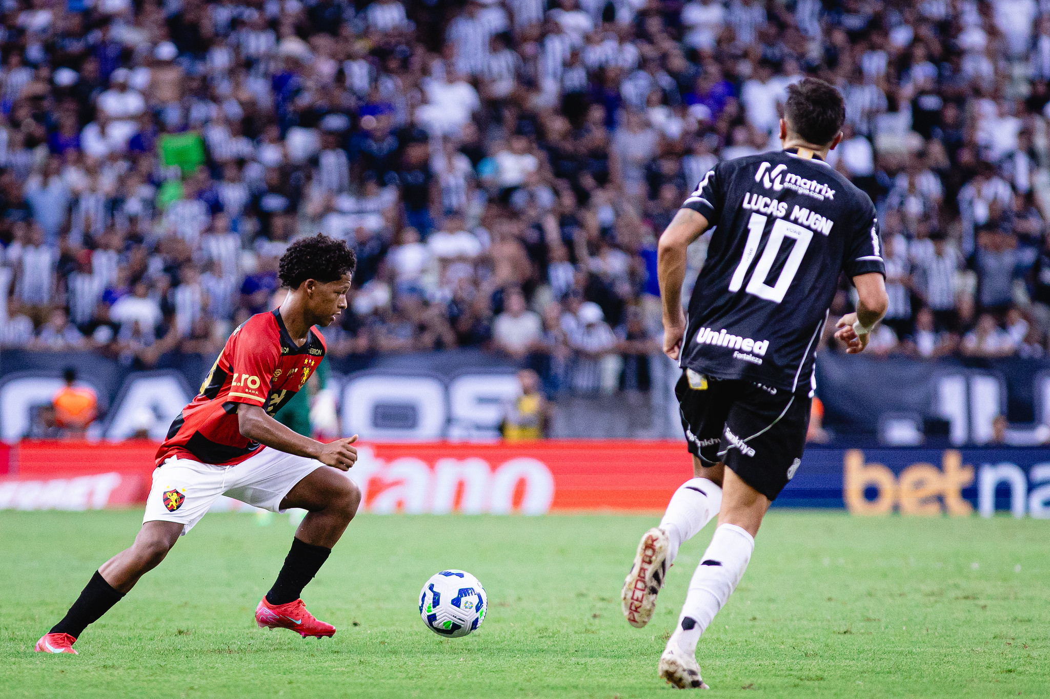 image para ilustrar o artigo