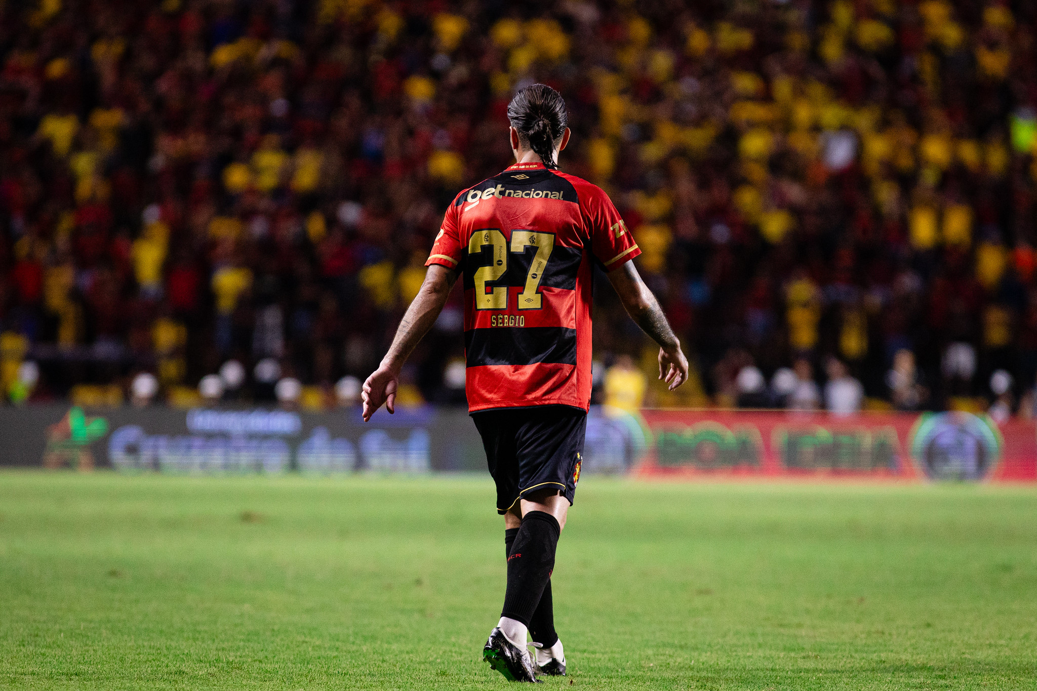 image para ilustrar o artigo