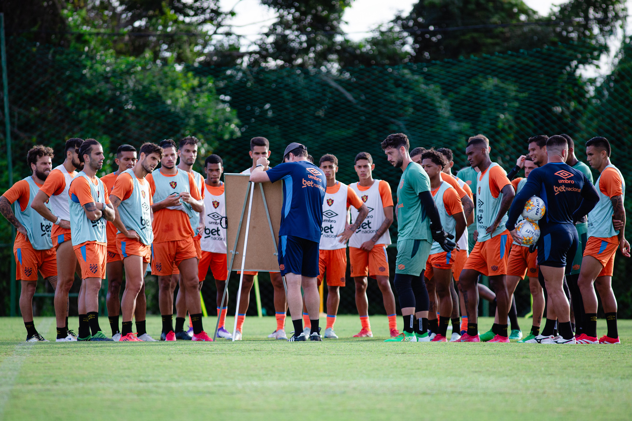 image para ilustrar o artigo