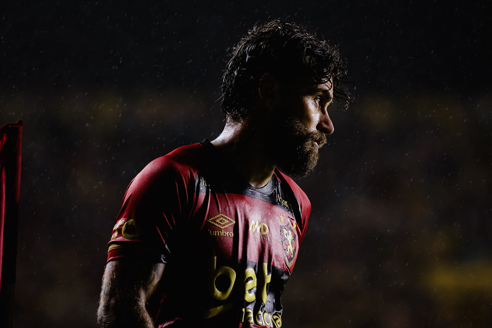 image para ilustrar o artigo