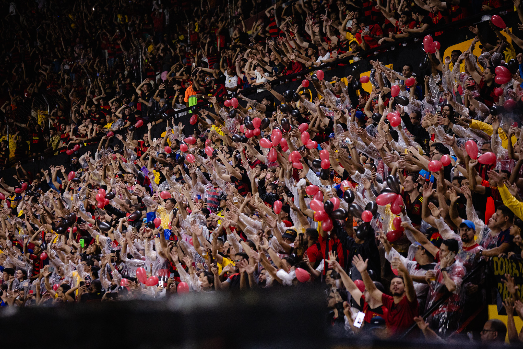 image para ilustrar o artigo