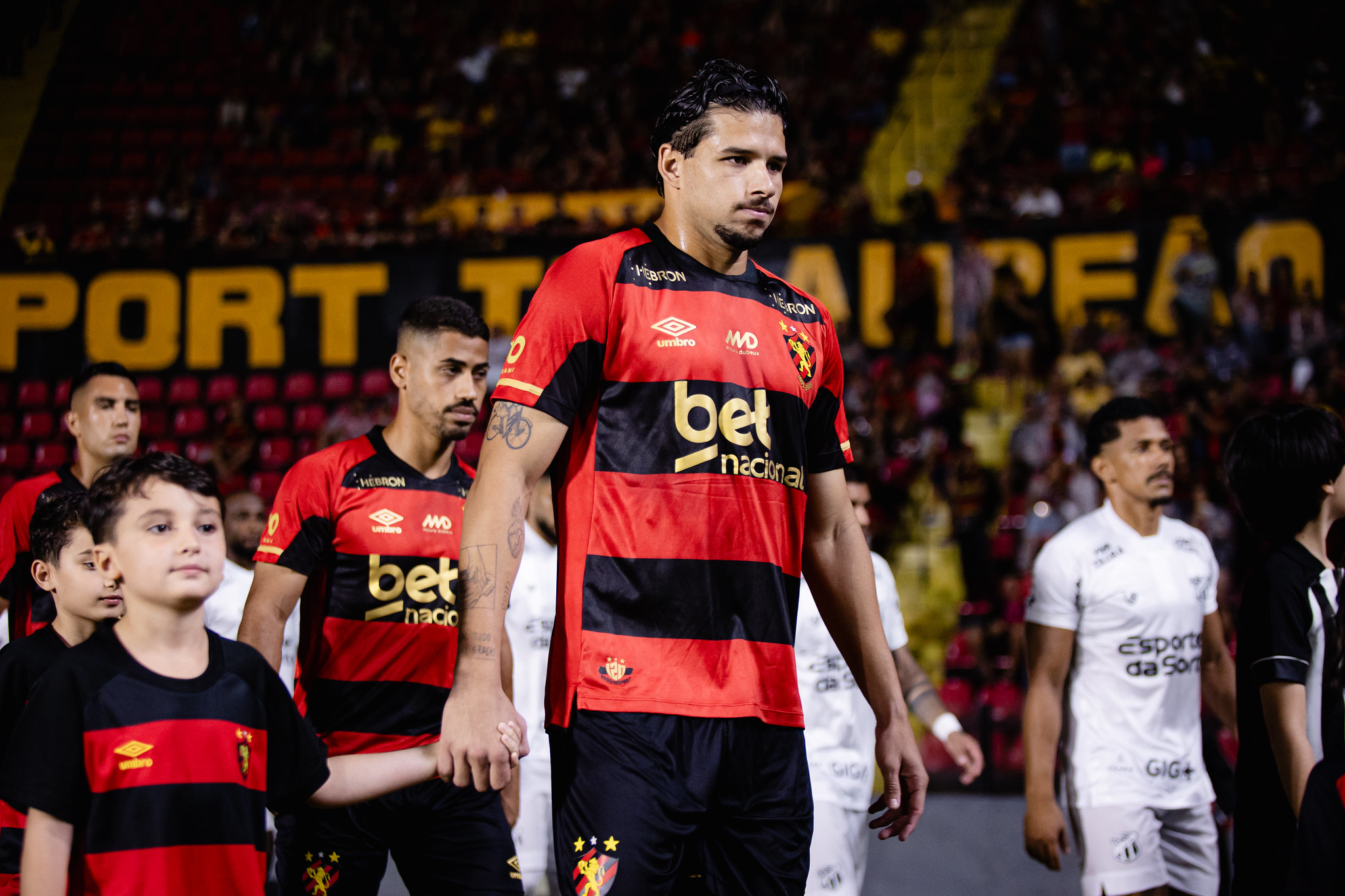 image para ilustrar o artigo