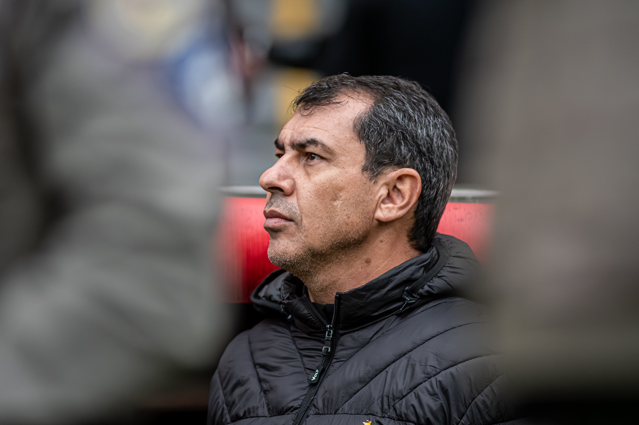 image para ilustrar o artigo