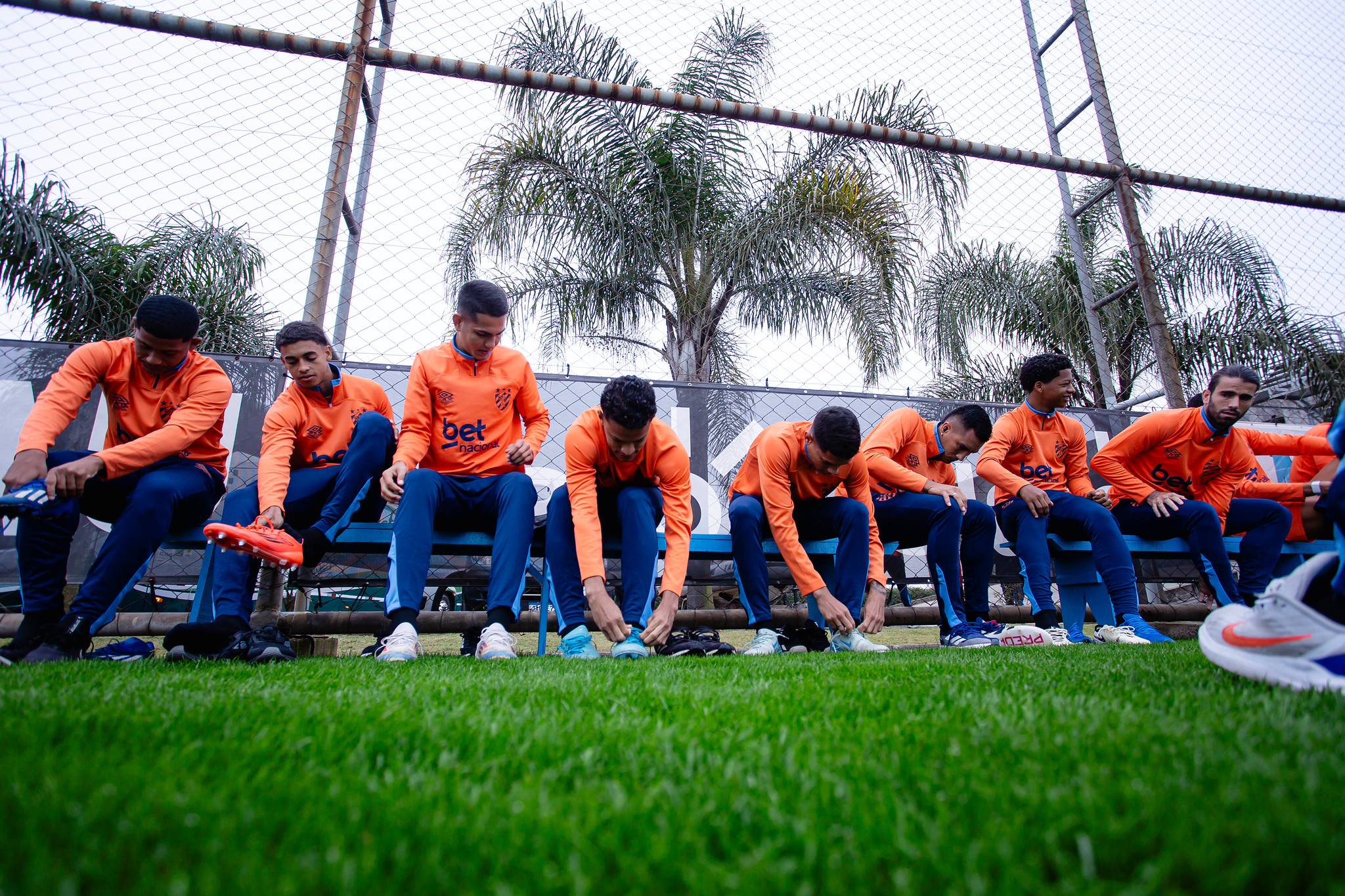 image para ilustrar o artigo