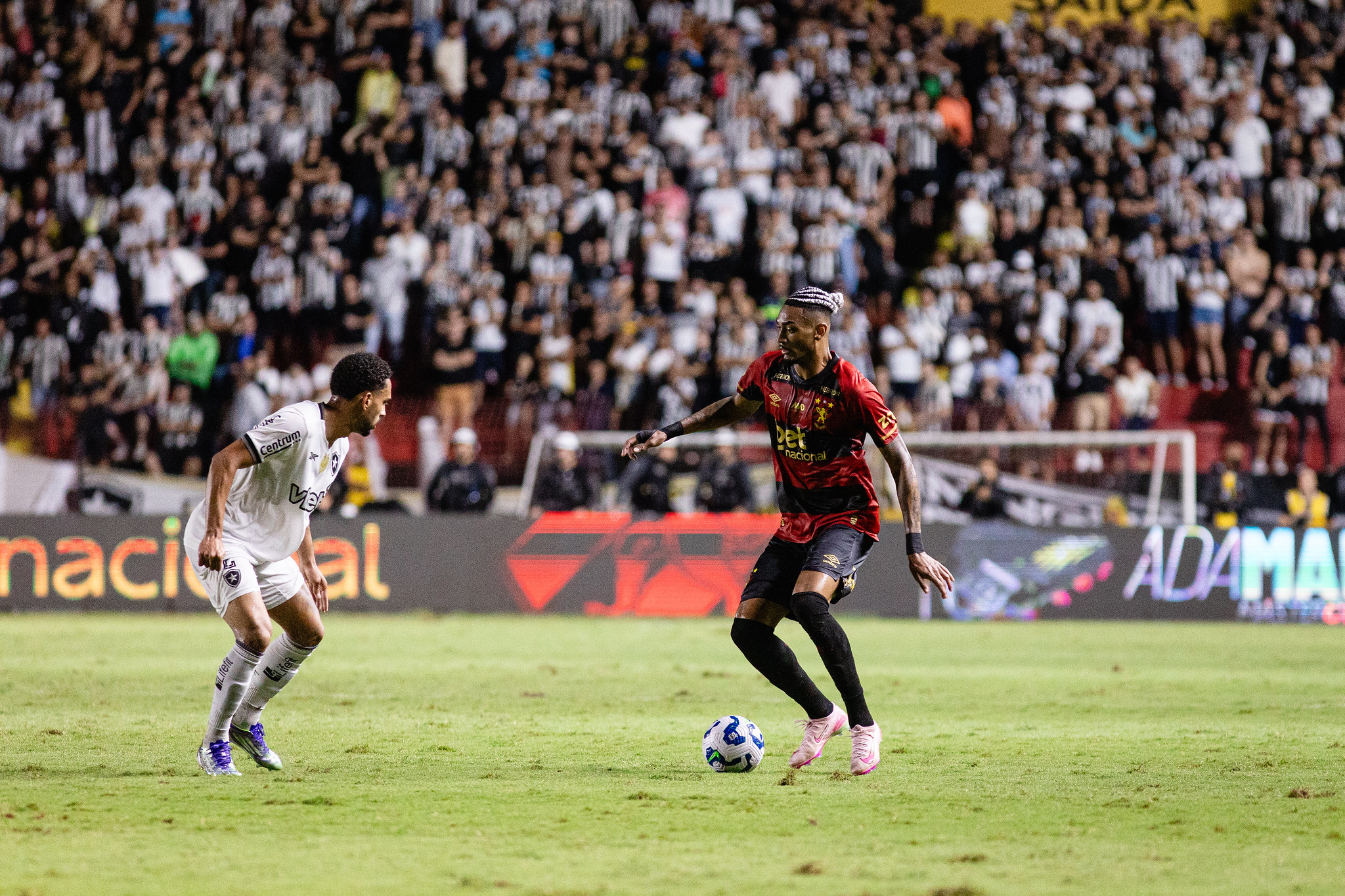 image para ilustrar o artigo