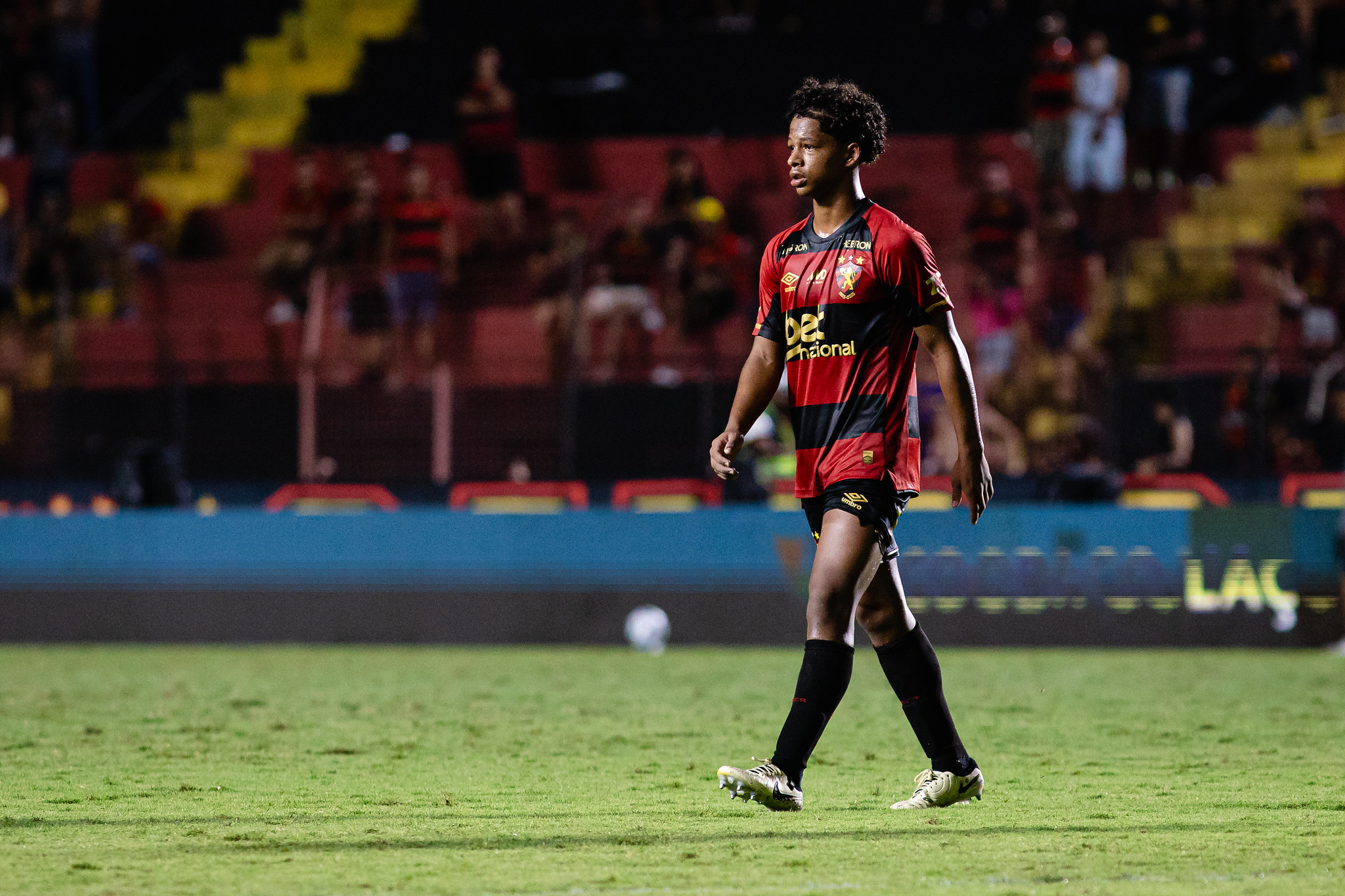 image para ilustrar o artigo