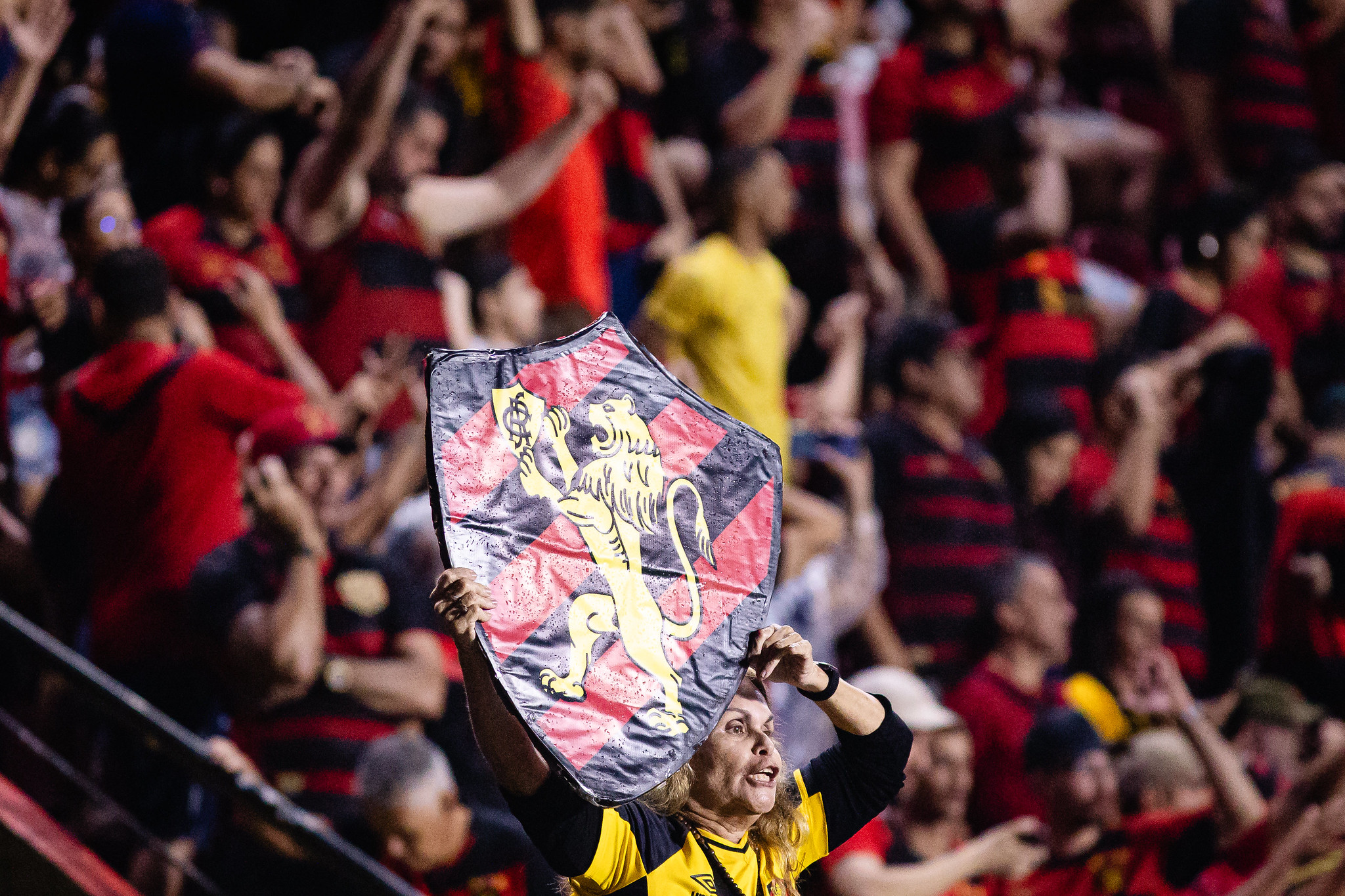 image para ilustrar o artigo