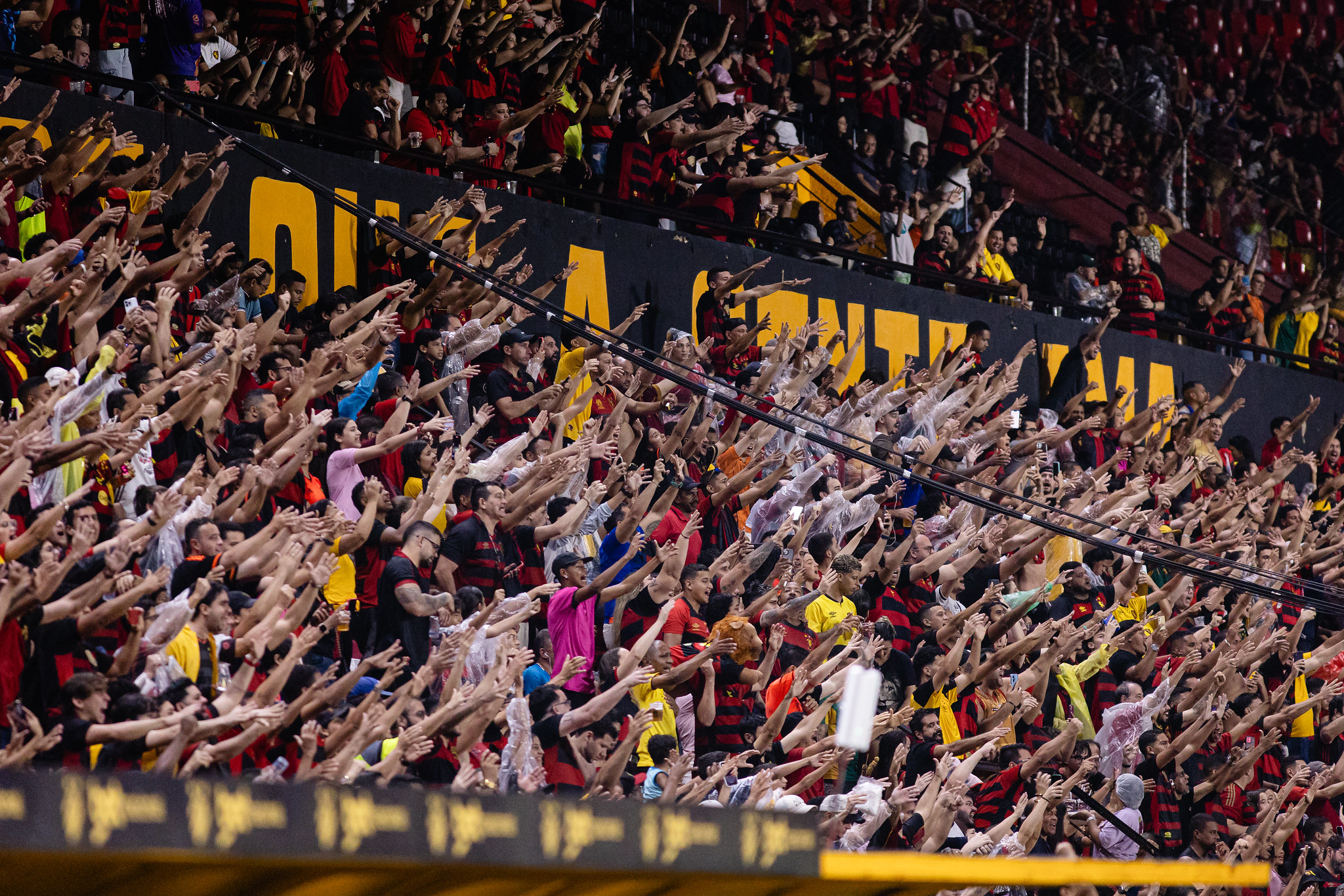 image para ilustrar o artigo