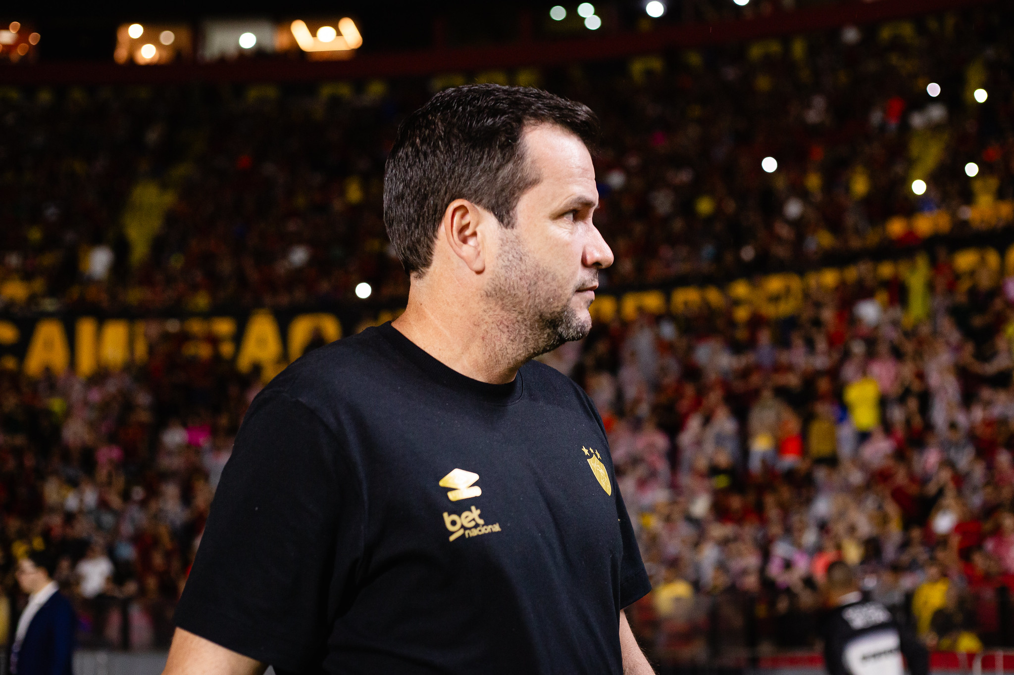 image para ilustrar o artigo