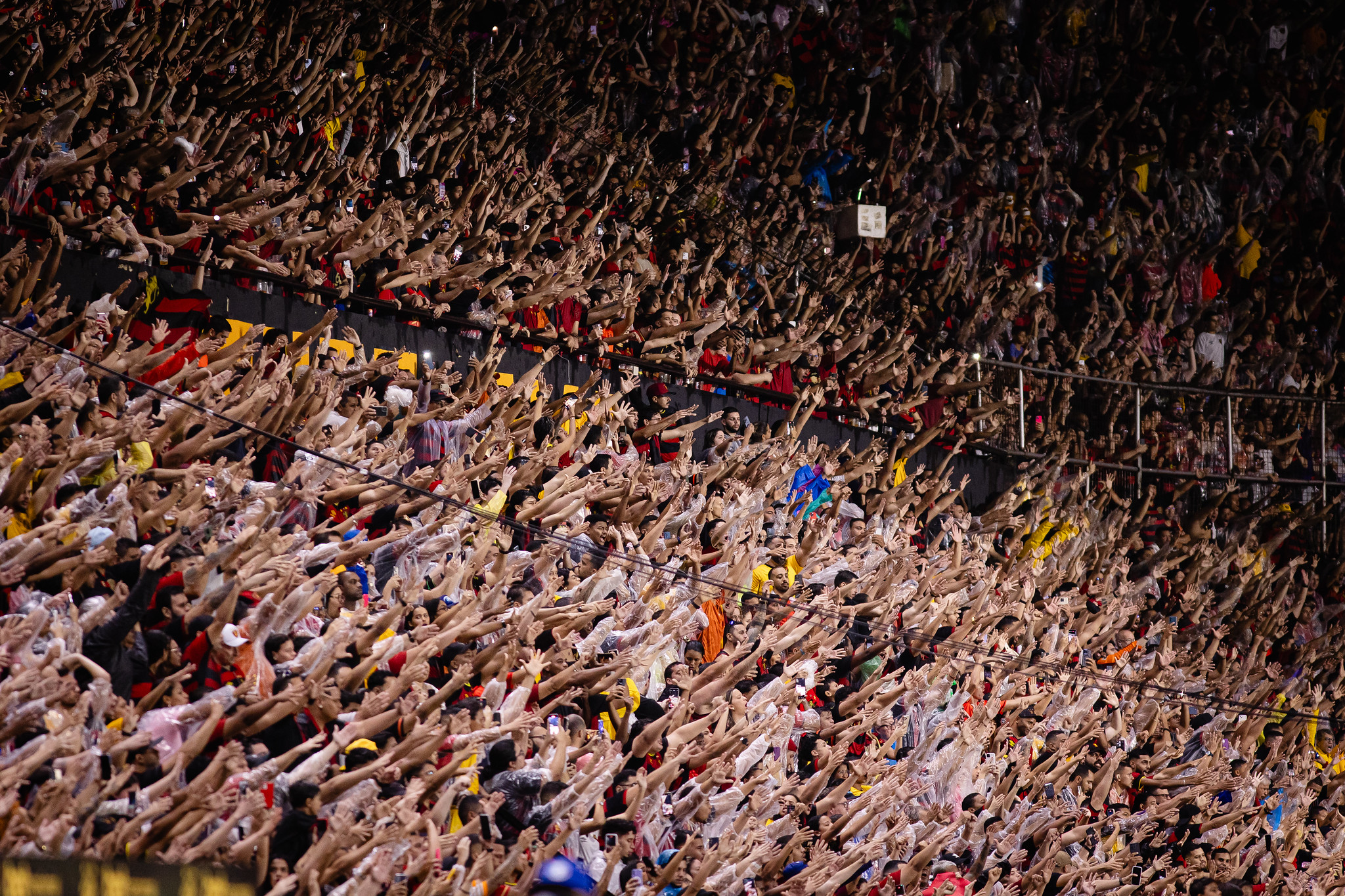 image para ilustrar o artigo