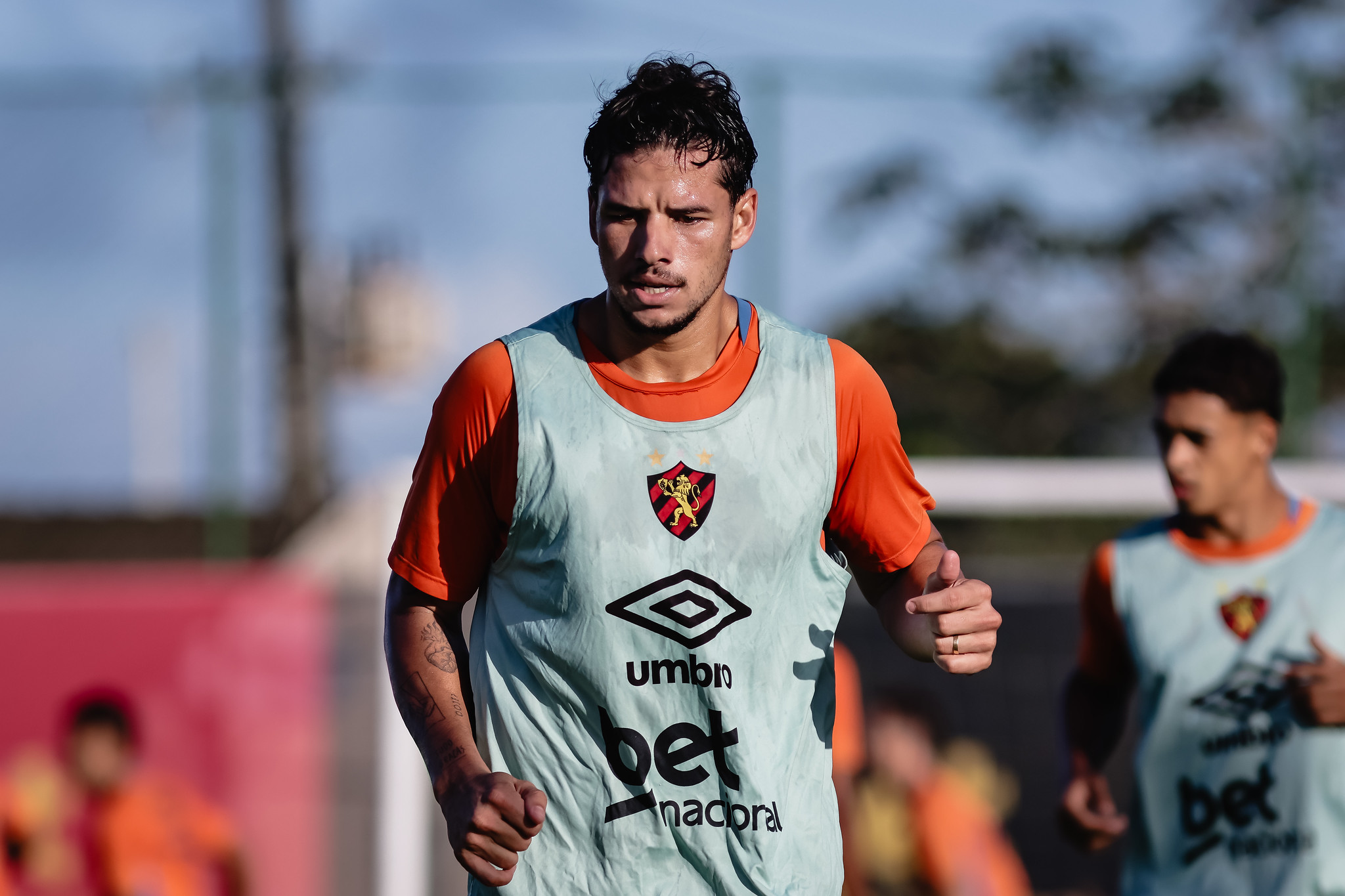 image para ilustrar o artigo