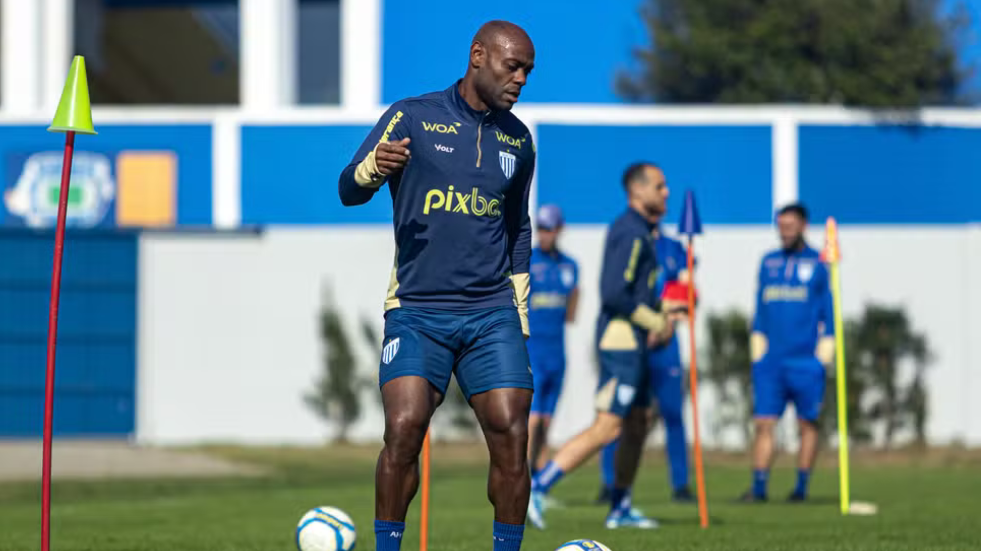 image para ilustrar o artigo