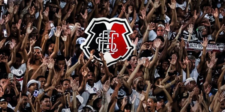 image para ilustrar o artigo