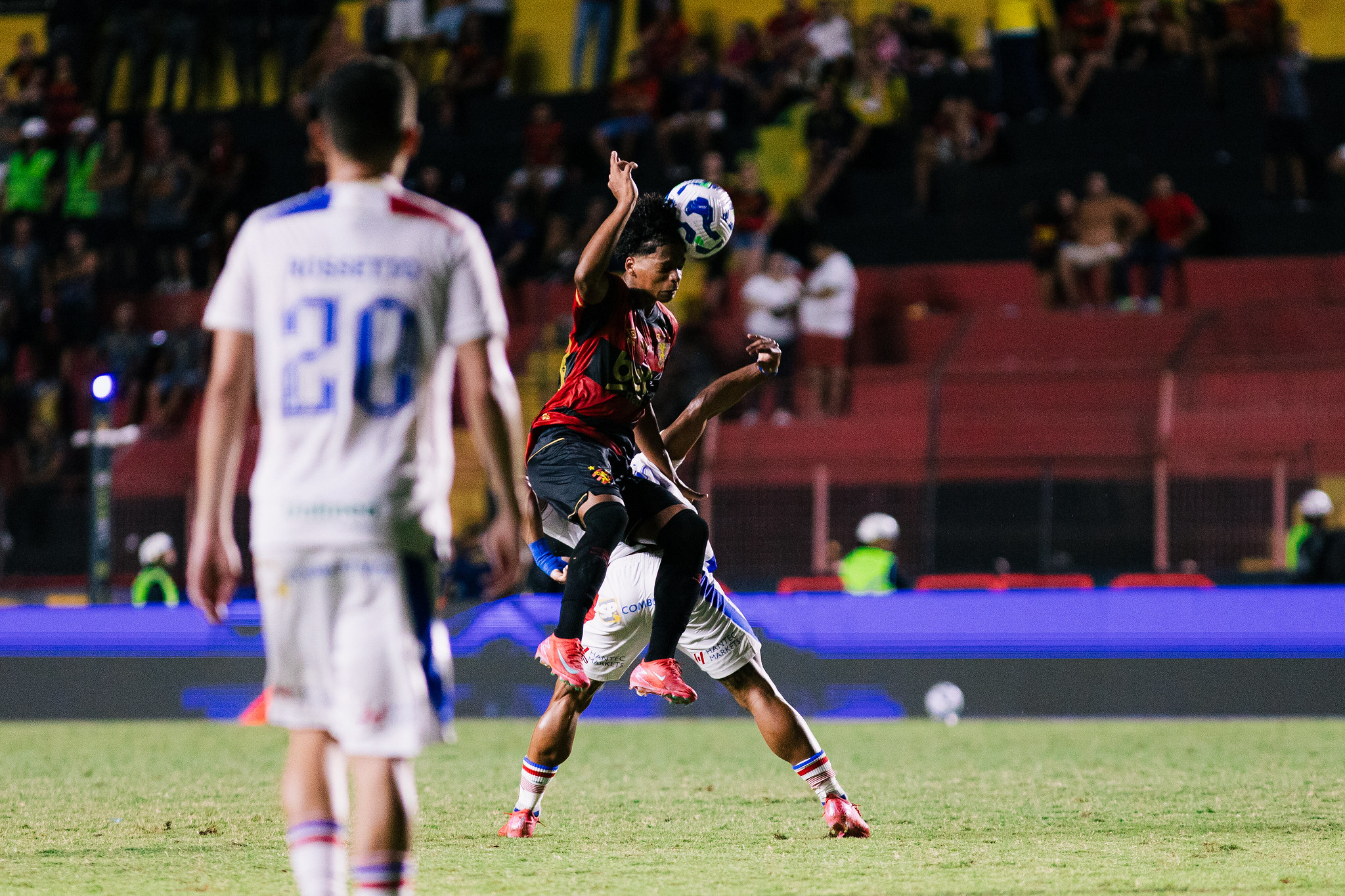 image para ilustrar o artigo