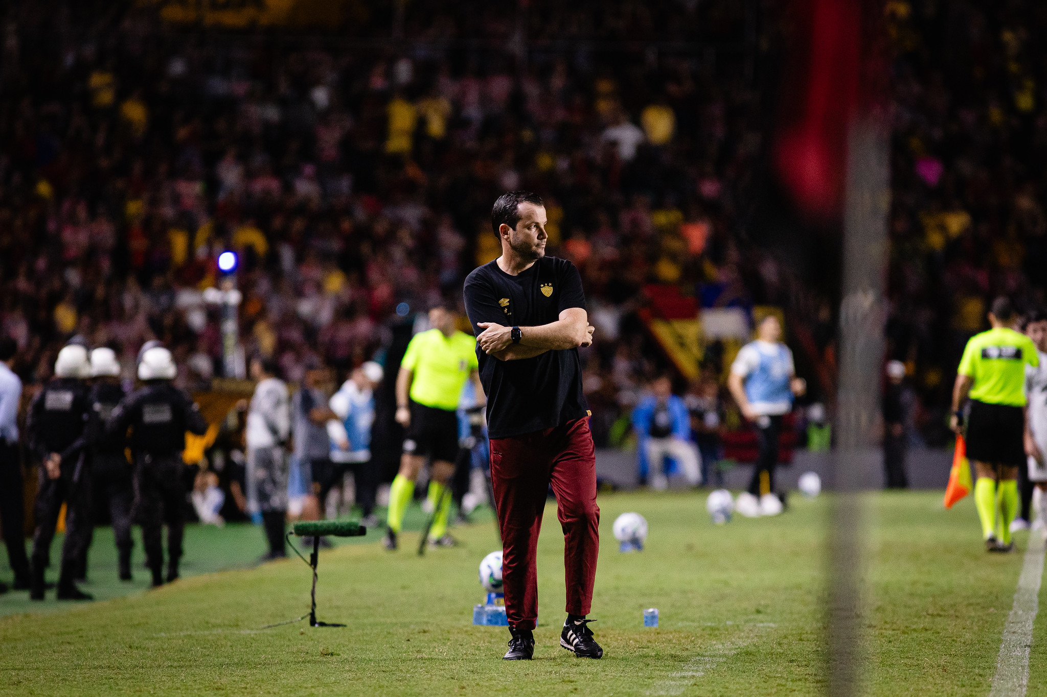 image para ilustrar o artigo