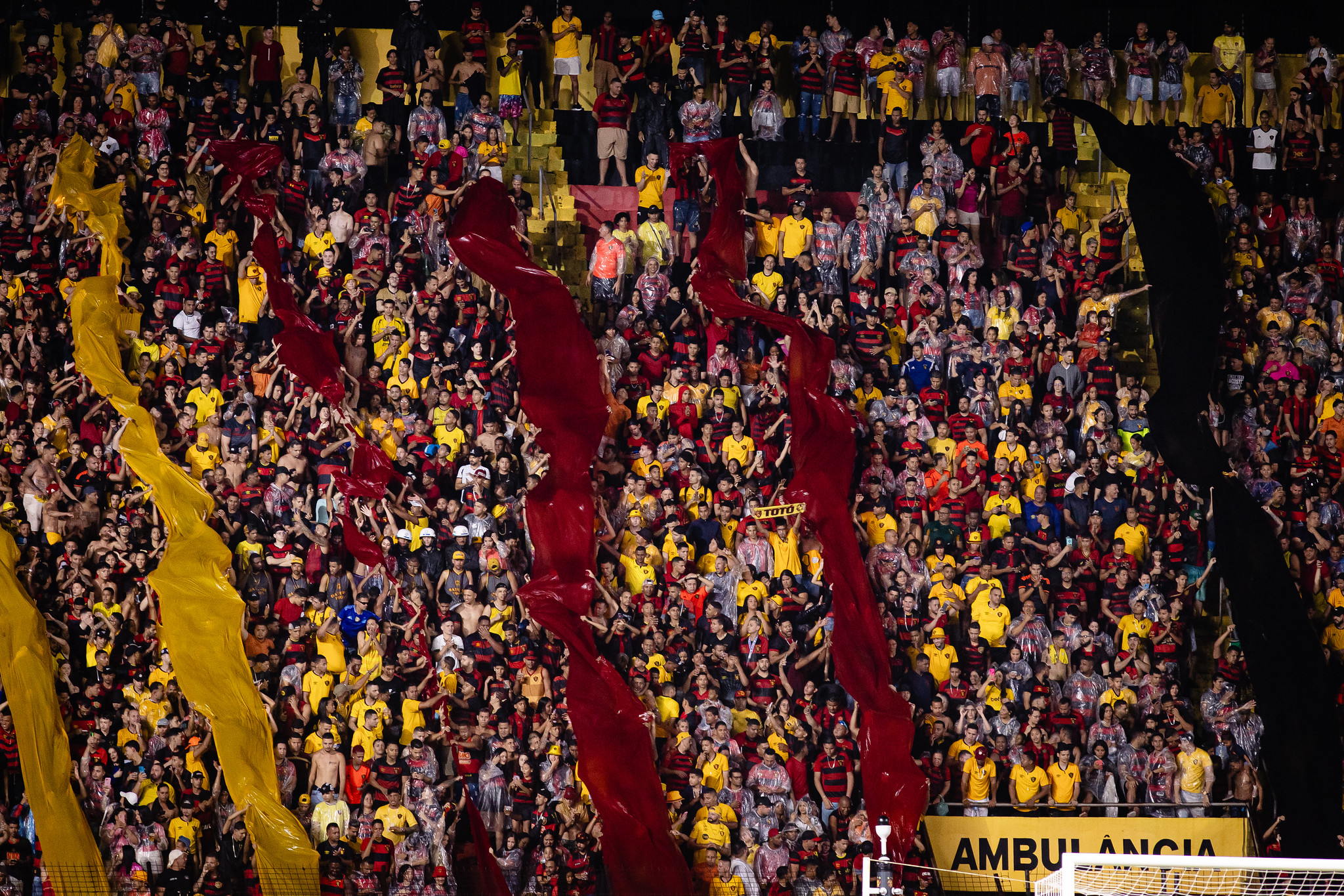 image para ilustrar o artigo