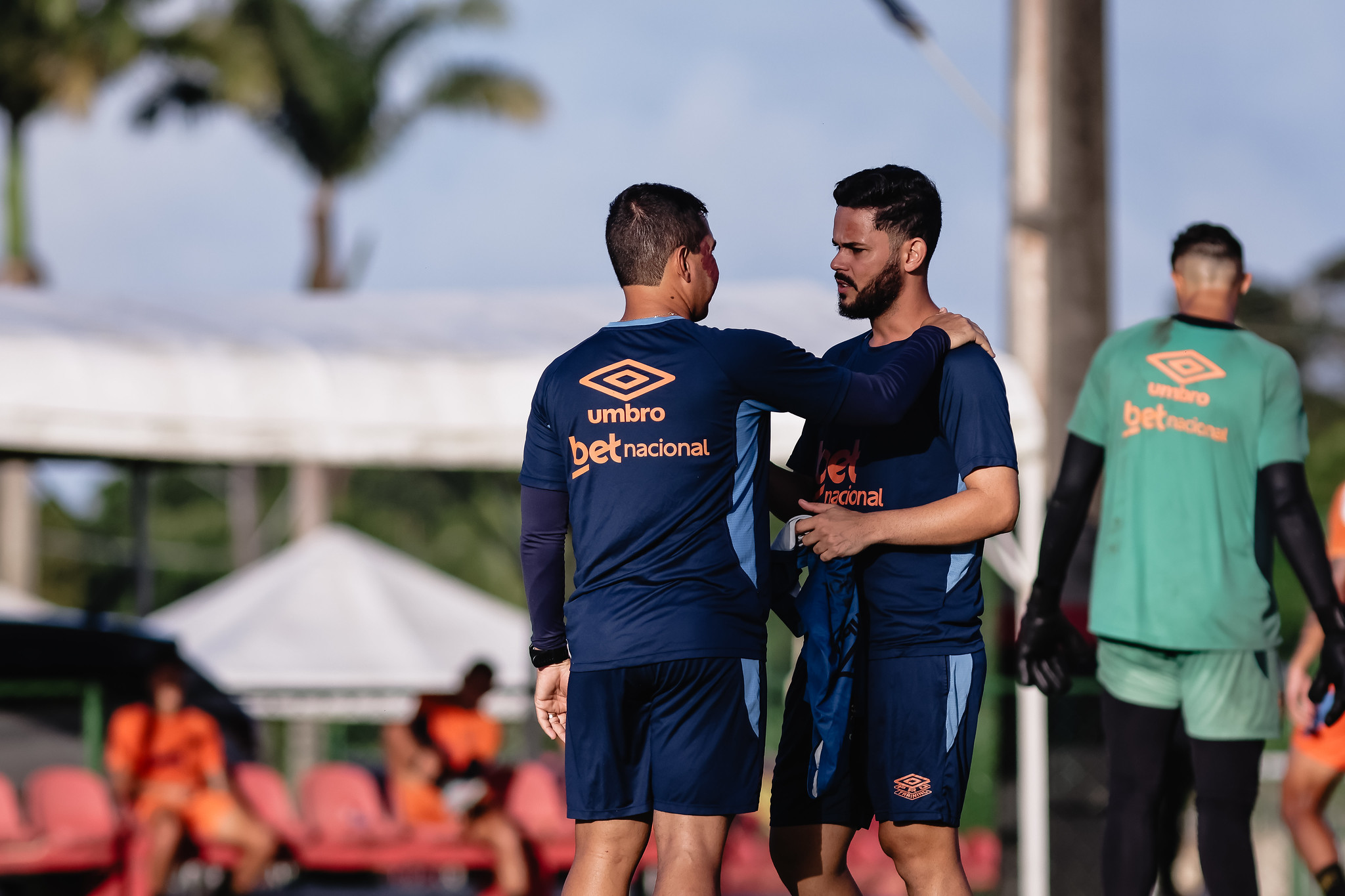 image para ilustrar o artigo