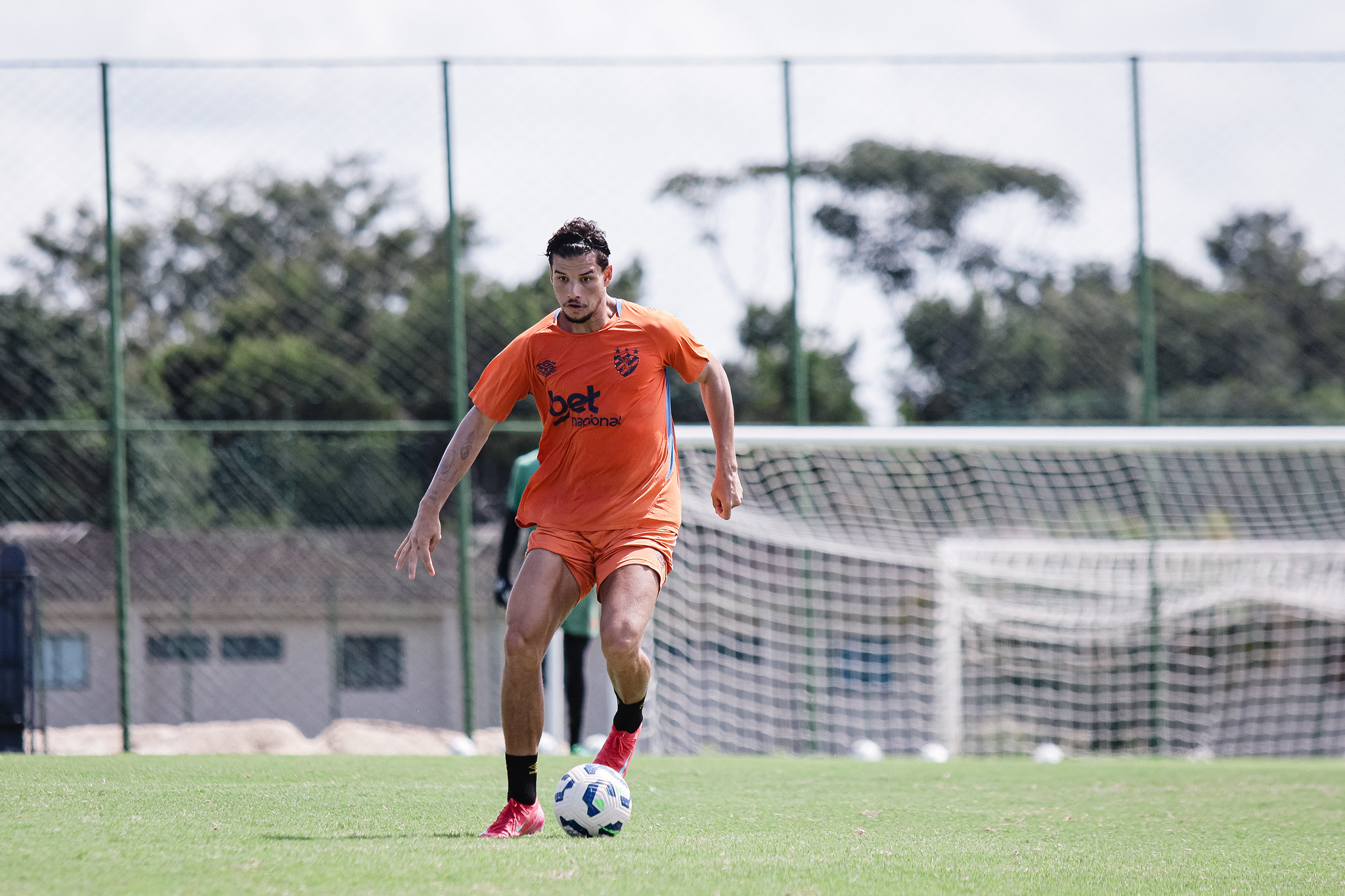 image para ilustrar o artigo