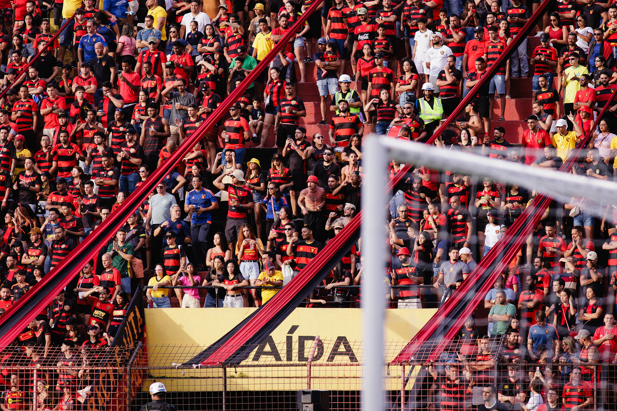 image para ilustrar o artigo