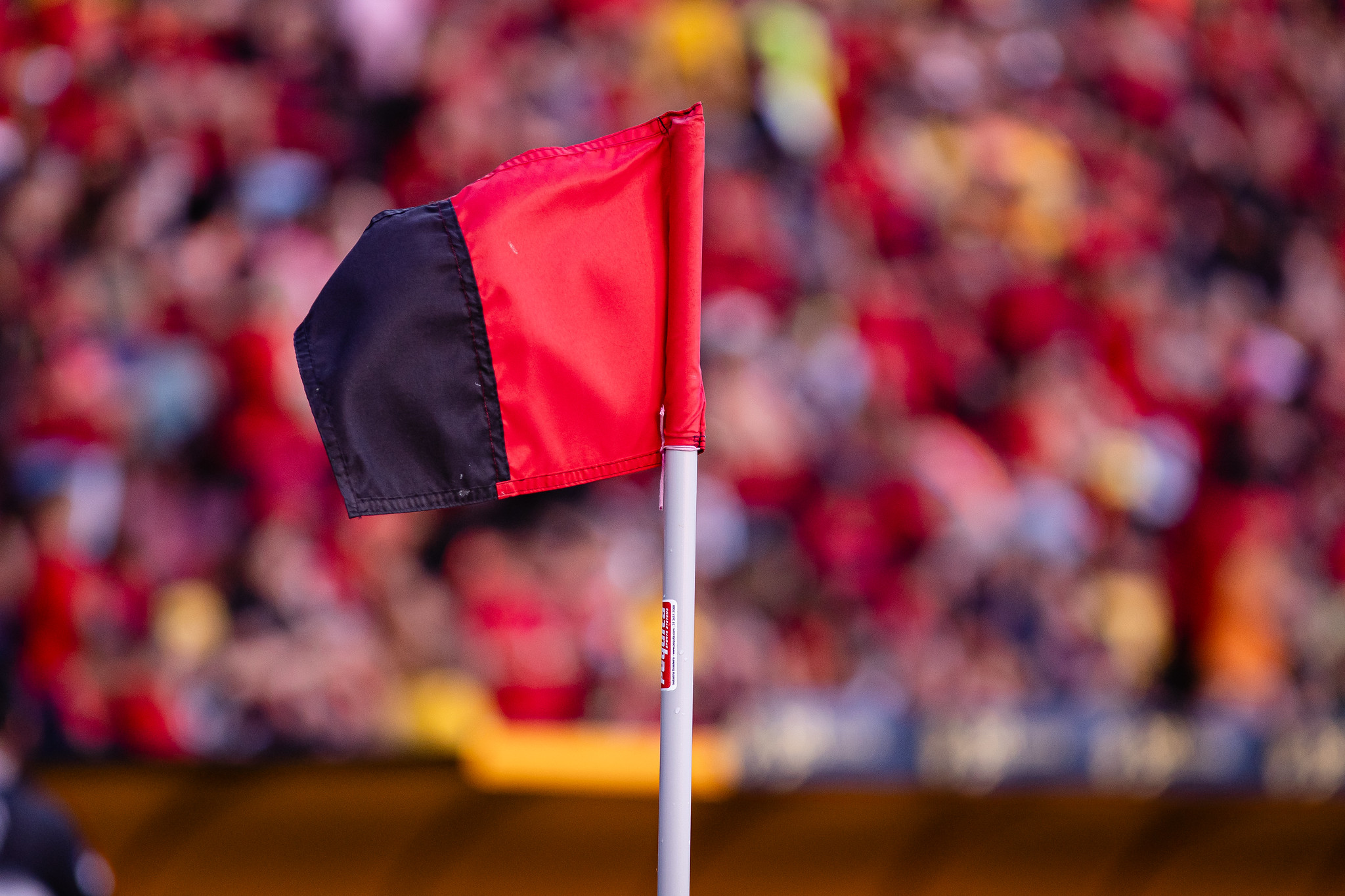 image para ilustrar o artigo