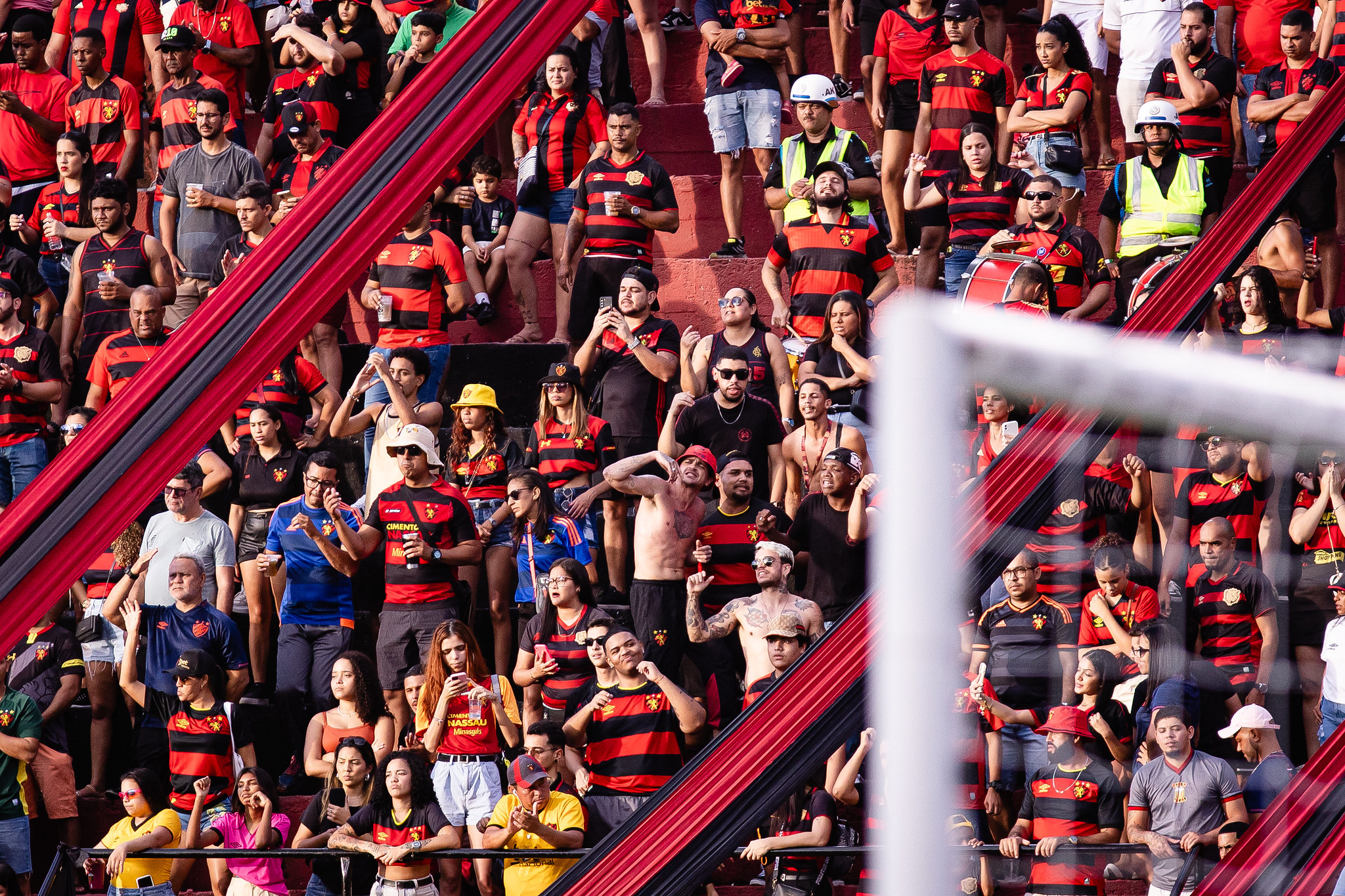 image para ilustrar o artigo