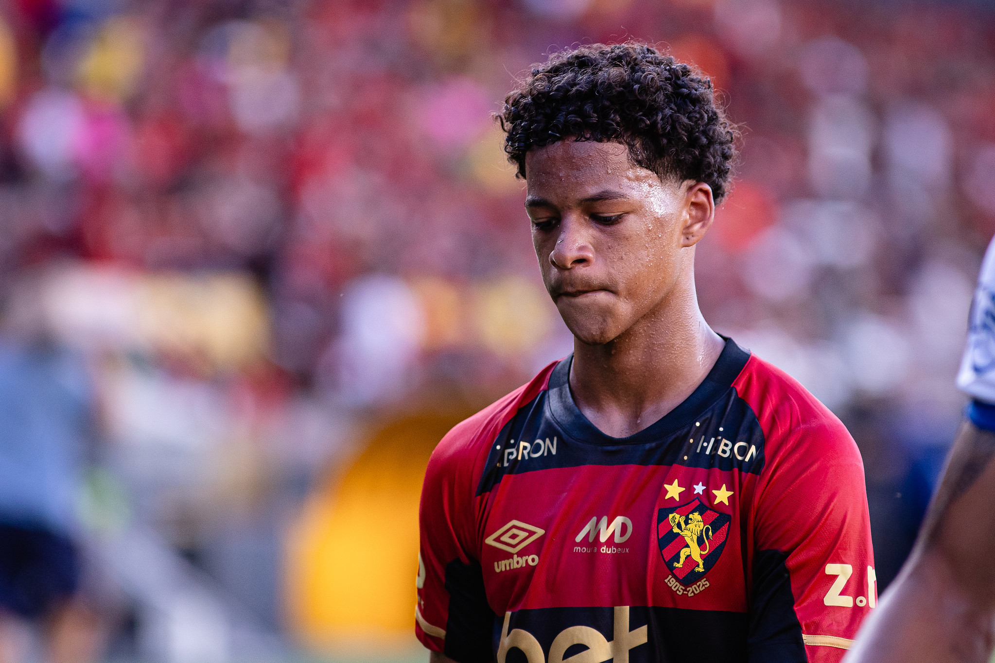 image para ilustrar o artigo