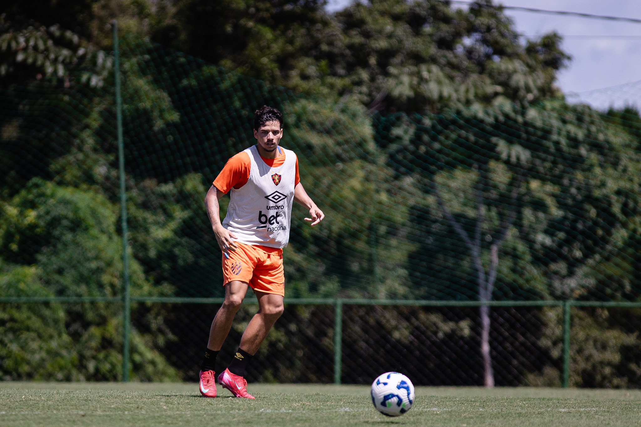 image para ilustrar o artigo