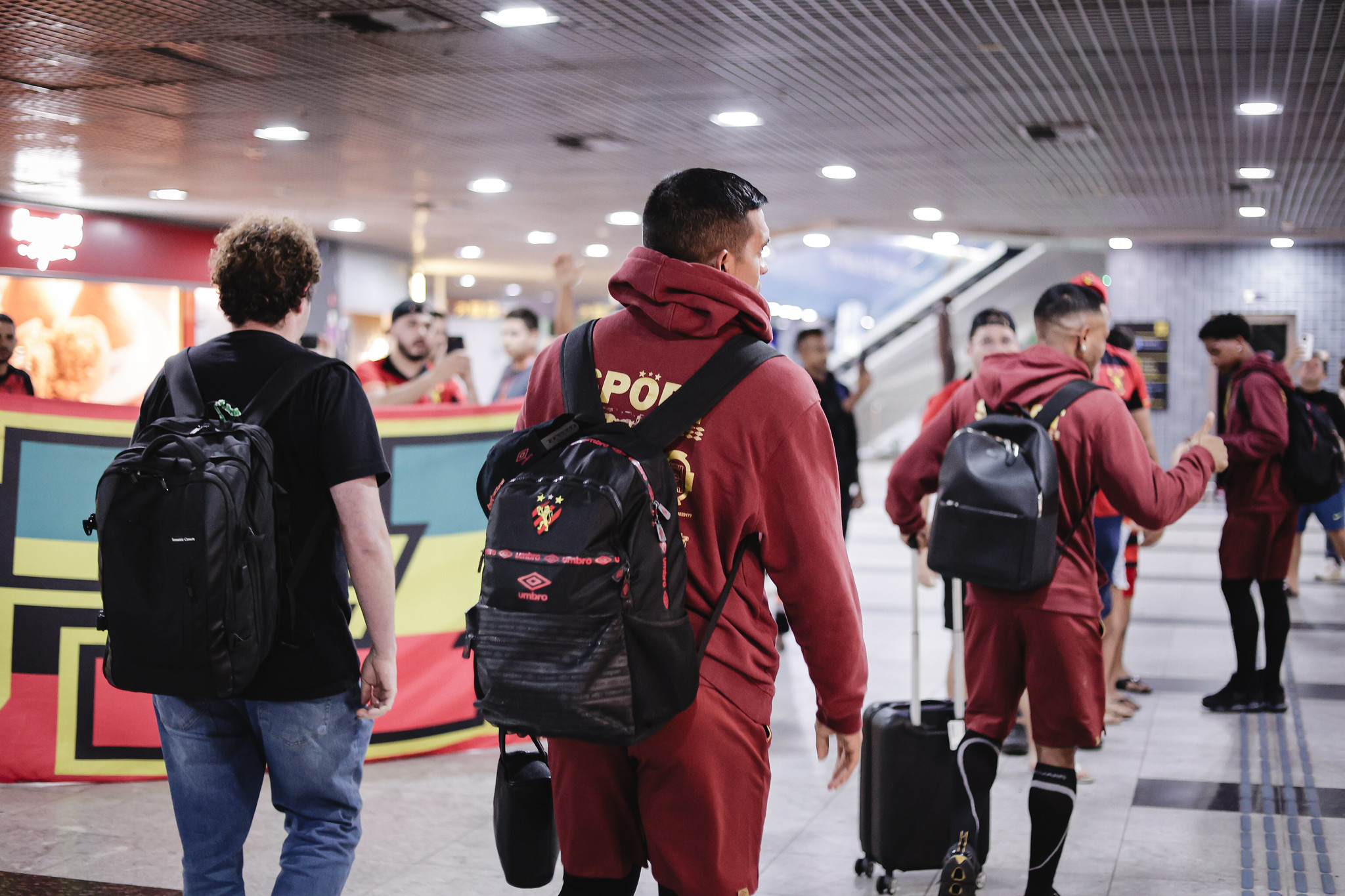 image para ilustrar o artigo