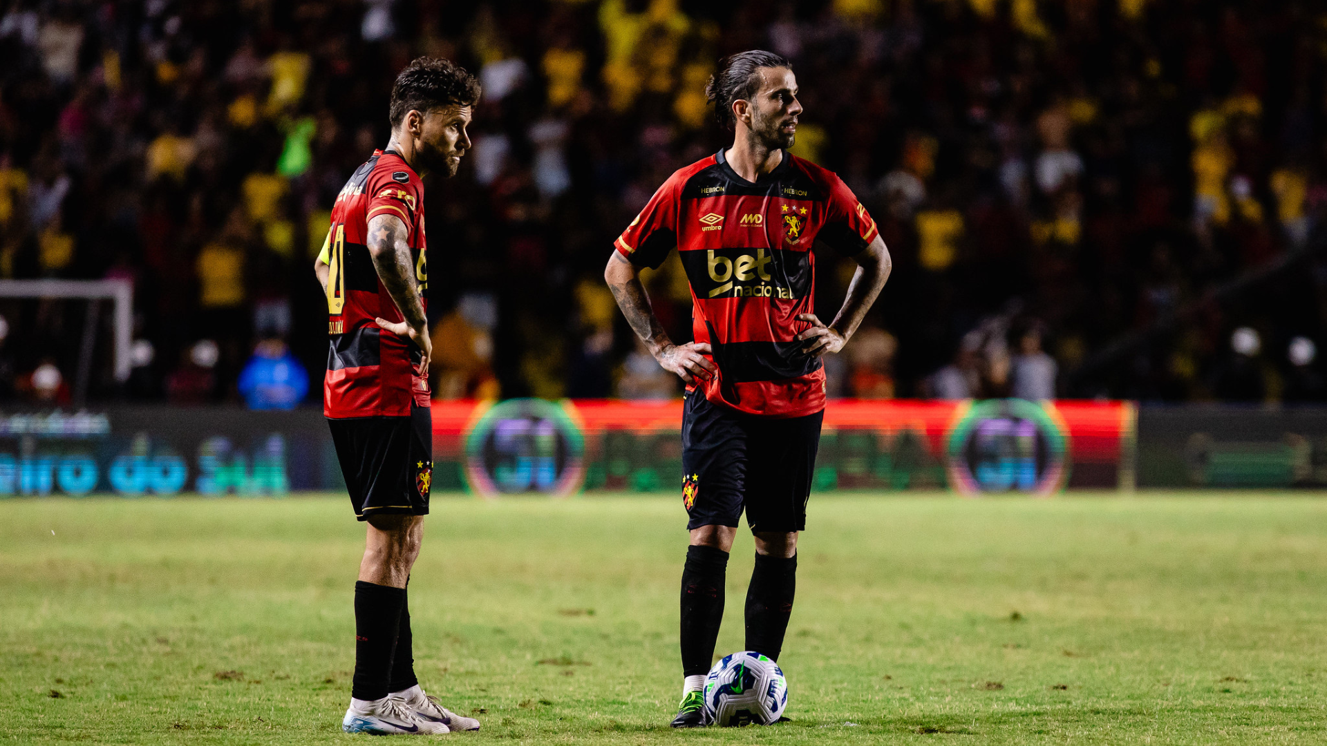 image para ilustrar o artigo