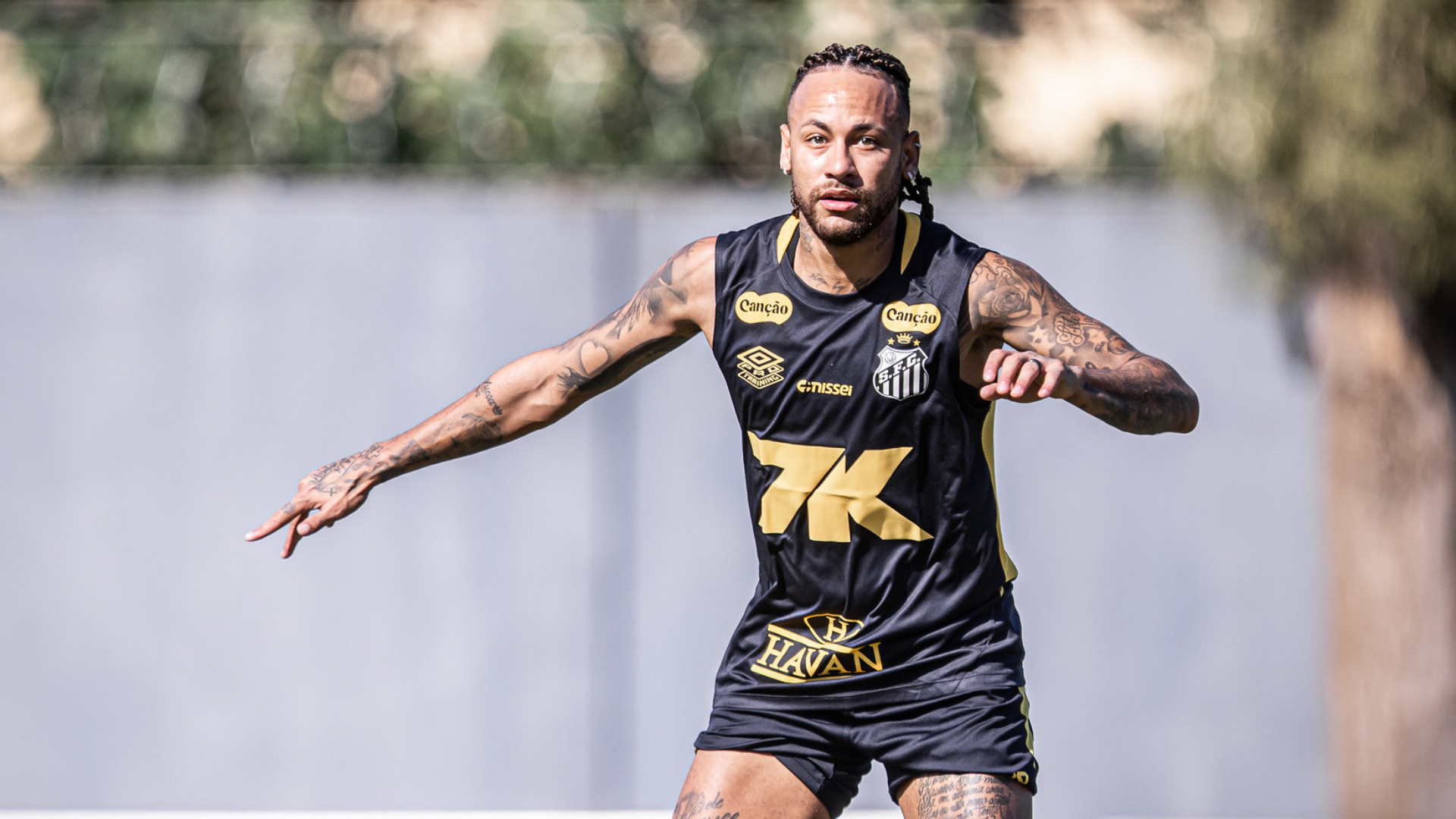 image para ilustrar o artigo